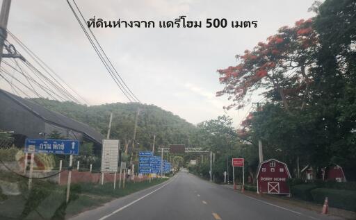 Road leading to properties with signs and greenery