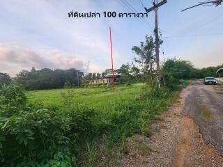 Vacant land with greenery and a distant building