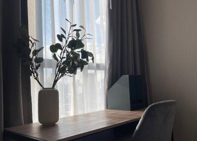 Small bedroom corner with a window, desk, chair, and a plant on the desk