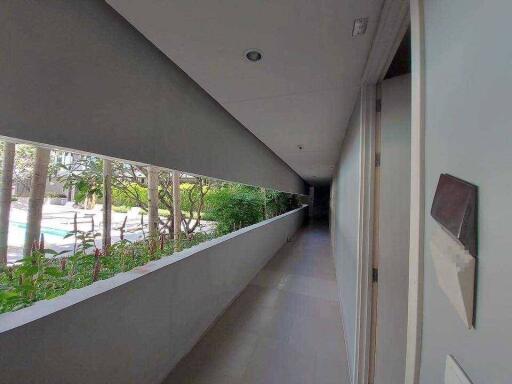 A corridor with a view of an outdoor garden and pool area