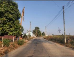 Street view in a residential area with trees and power lines