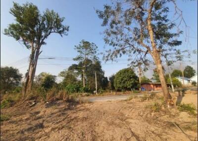 Vacant land with trees and clear sky