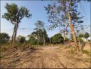 Vacant land with trees and clear sky