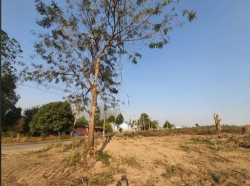 Vacant land with scattered trees