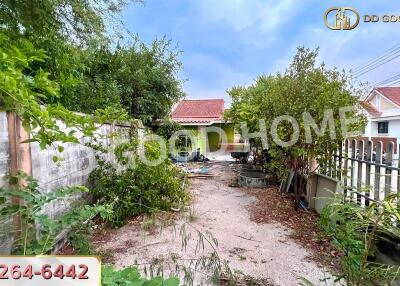 Outdoor garden area with trees and plants