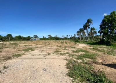 Empty land with scattered vegetation under a clear blue sky