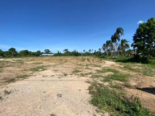 Empty land with scattered vegetation under a clear blue sky