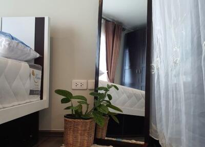 Bedroom corner with a mirror, plant, and rug