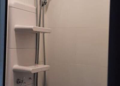 Shower area with shelves and water heater