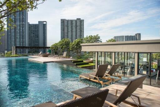 Rooftop pool with lounging area