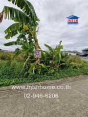 Vacant plot of land with vegetation and a real estate sign