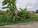 Vacant plot of land with vegetation and a real estate sign