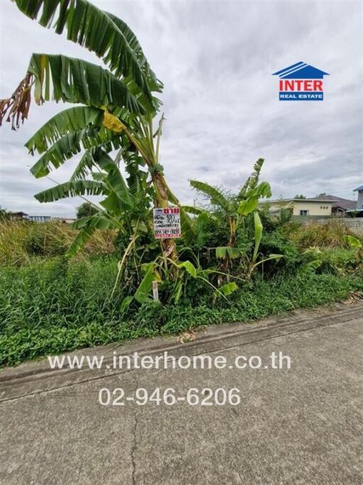 Real estate sign on overgrown plot of land