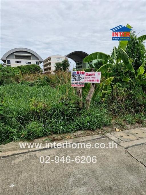 Plot of land with greenery and a for sale sign