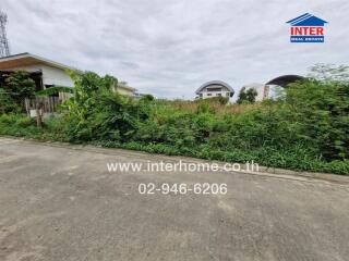 Vacant lot with overgrown vegetation along a paved road