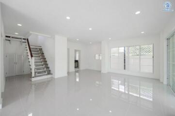 Spacious modern living room