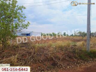 Open land view with some vegetation and a distant building