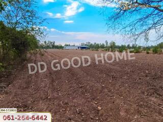 Farmland with clear blue skies and surrounding trees