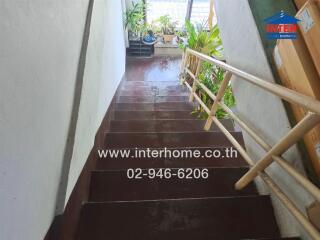 Staircase with plants and a railing