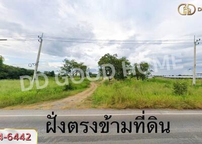 Wide view of a grassy land plot with a dirt road, surrounded by greenery and trees under a cloudy sky.