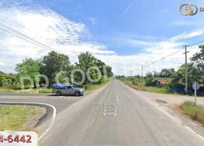 roadside with car and greenery