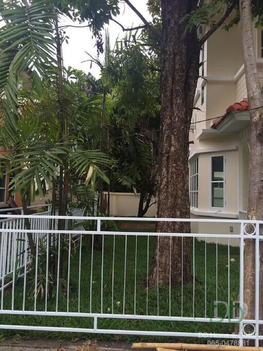 Front yard with trees and white fence