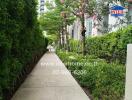 Entrance pathway with greenery and trees