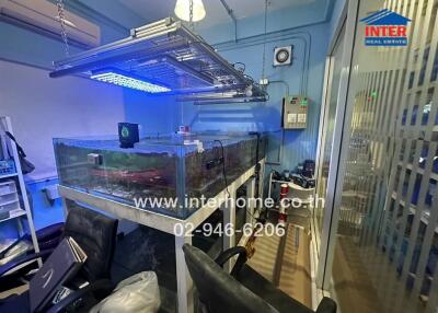 Office space with fish tank