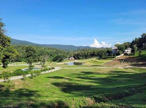 Land for Sale in Pa Pong, Hang Dong