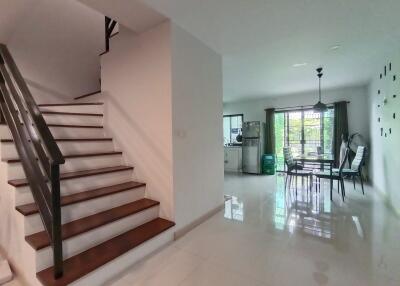 Townhouse for Rent in Mae Hia, Mueang Chiang Mai