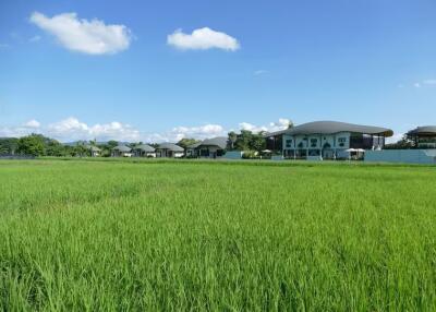 A Resort in Doi Saket