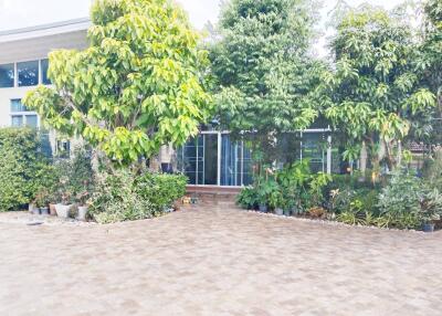 3 Bedroom House for Sale in Doi Saket