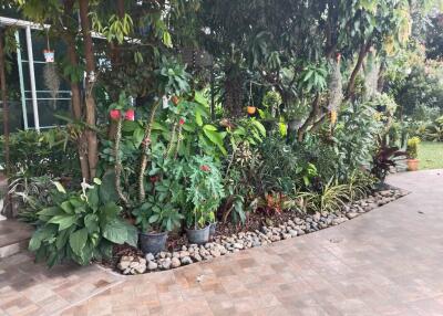 3 Bedroom House for Sale in Doi Saket