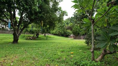 Land for Sale at Saraphi