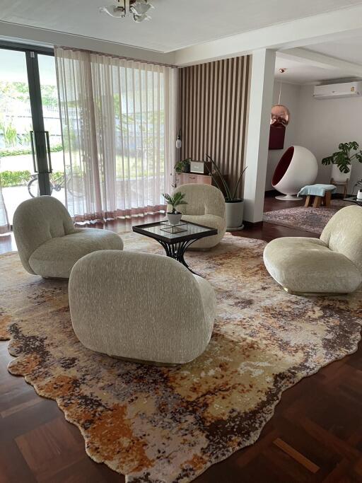 Modern living room with cozy round chairs and stylish decor