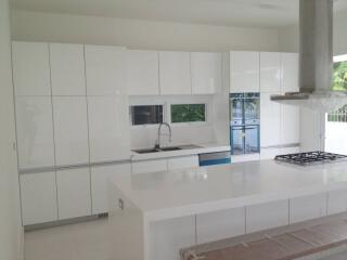 Modern white kitchen with island