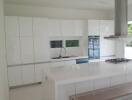 Modern white kitchen with island