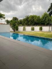 Outdoor pool area with adjacent lawn and fencing