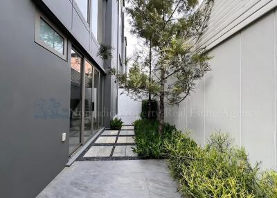 Modern outdoor area with greenery and walkway