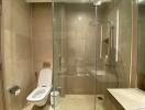 Modern bathroom with glass shower enclosure and toilet