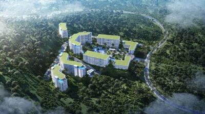 Aerial view of residential buildings surrounded by forest