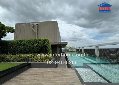 Rooftop garden and swimming pool area