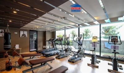 Modern gym with various fitness equipment