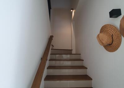 Staircase with wooden steps and wall-mounted hats