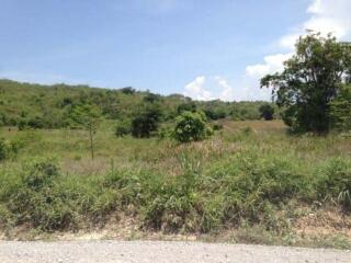 16 Rai of Land near Pineapple Valley Golf Club