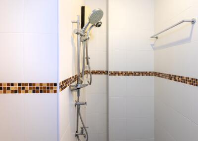 Shower area with modern fixtures