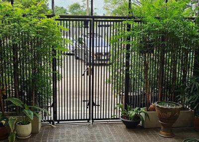 Courtyard with greenery and potted plants