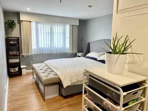 Cozy and well-organized bedroom with natural light