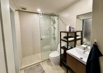Modern bathroom with shower stall, sink, and shelving