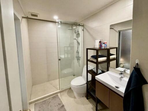 Modern bathroom with shower stall, sink, and shelving